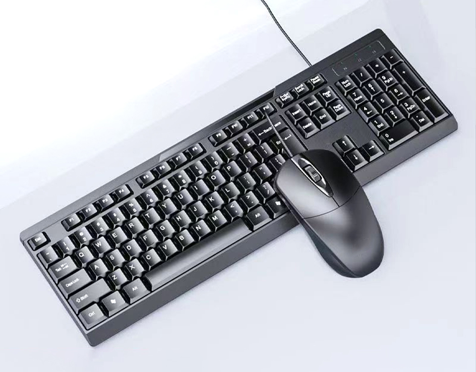 Set Keyboard lan Mouse Kabel